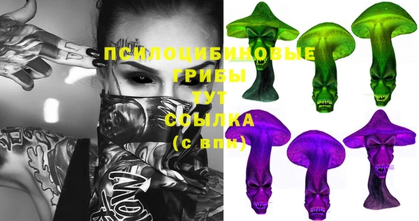 молекула духа Лихославль