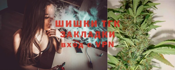 молекула духа Лихославль
